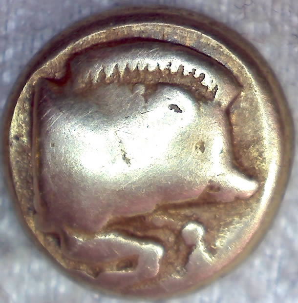 Post-Your-Lion-Coins!