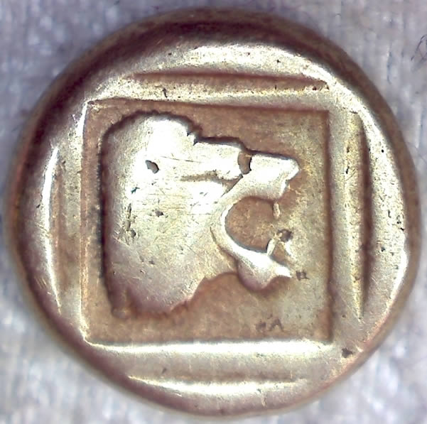 Post-Your-Lion-Coins!