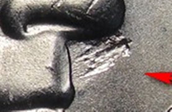 2005-P-Bison-Nickel,-Strike-Through-Progression!
