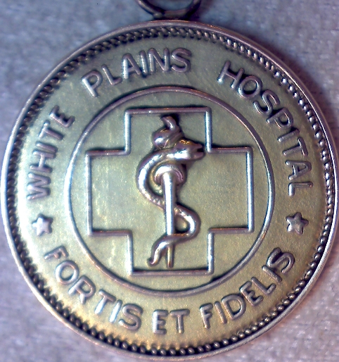 Various-Gold-Nursing-Pins