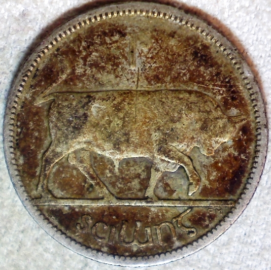 Coin-Shopping-Around-The-World