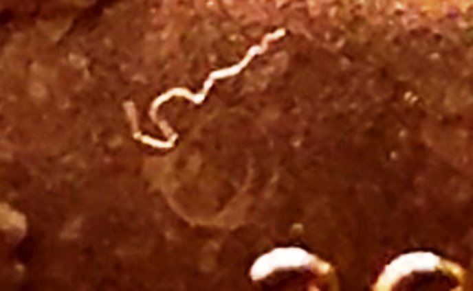 2017-P-Lincoln-Cent-Struck-Through-String-Near-Lincoln's-Chin-On-Obverse?