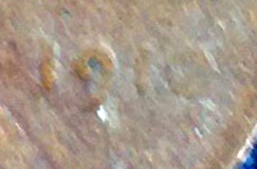 Found-A-1912-Wheat-Cent!!