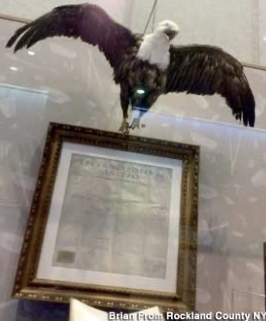 The-Story-Of-Peter,-The-US-Mint-Eagle