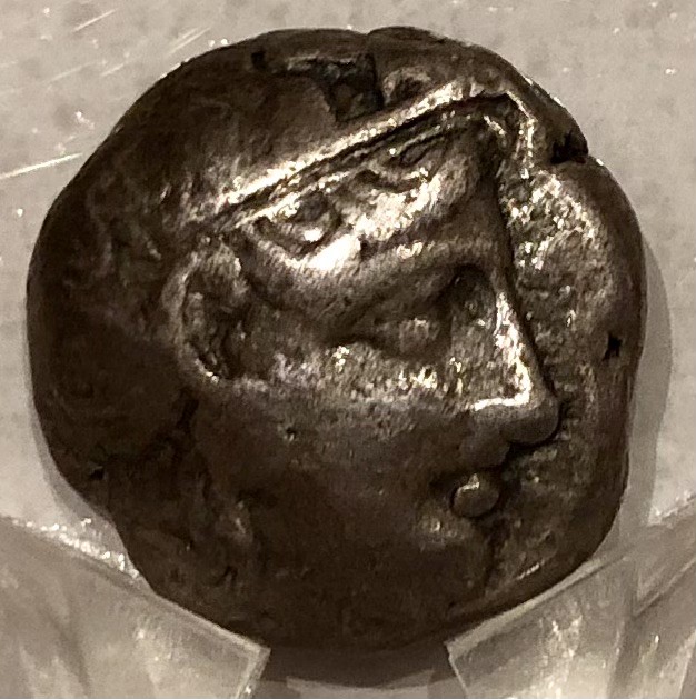 A-Compendium-Of-Numismatic-Displays-In-Museums-Around-The-World-Evergreen