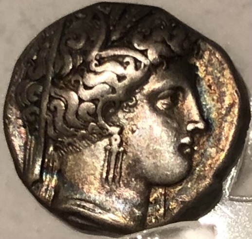 A-Compendium-Of-Numismatic-Displays-In-Museums-Around-The-World-Evergreen