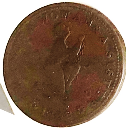 A-Compendium-Of-Numismatic-Displays-In-Museums-Around-The-World-Evergreen