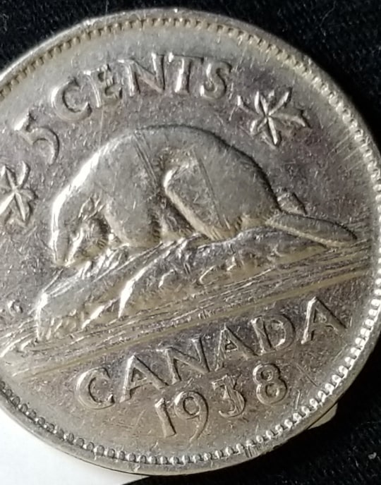 Three-More-1938-Nickels-For-Grading