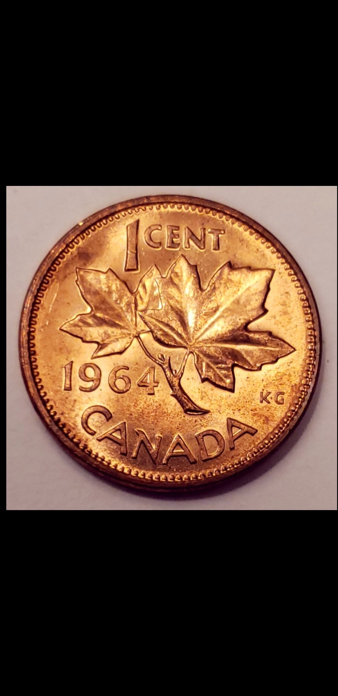 1964-Extra-Twig-,-Branch-Or-Bud
