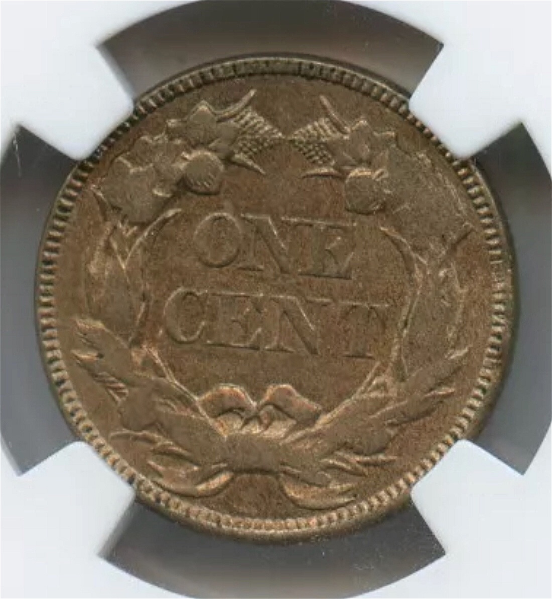 1857-Flying-Eagle-You-Vs-NGC