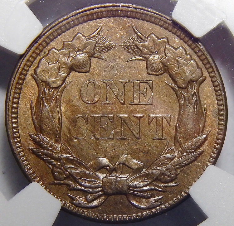 Two-Flying-Eagle-Cents-You-Vs-TPGs