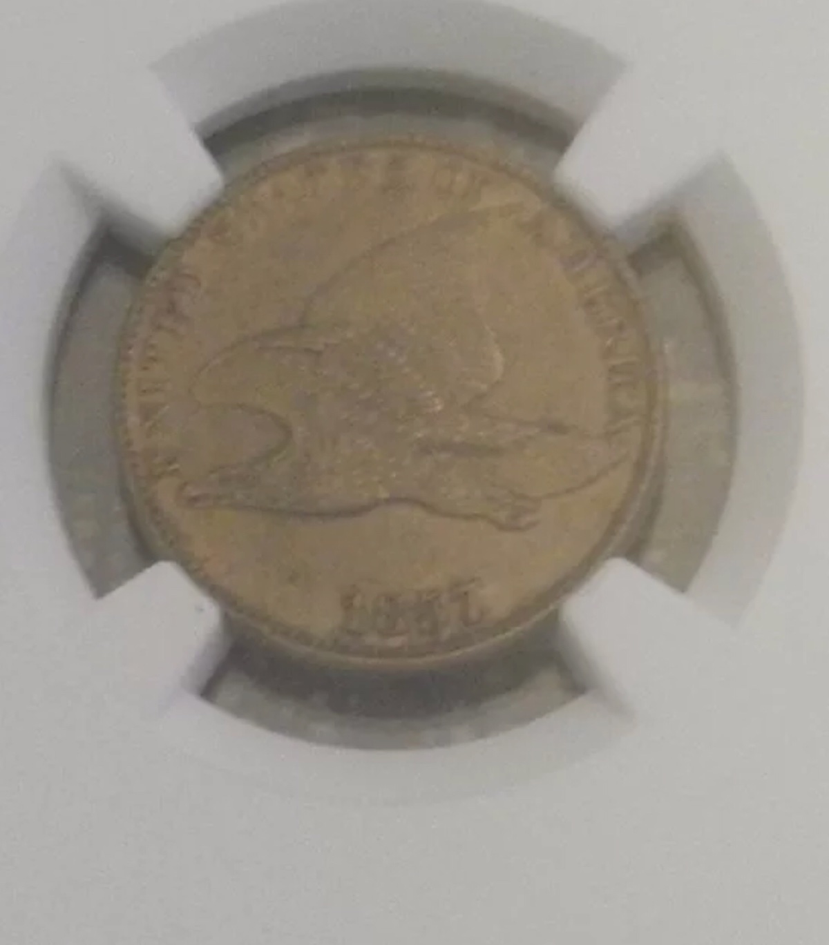 Another-1857-Flying-Eagle-For-Grading