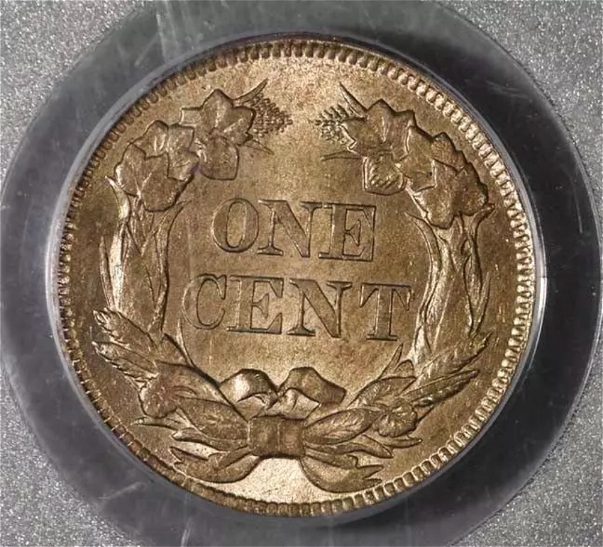 1857-Flying-Eagle-Cent-You-Vs-PCGS