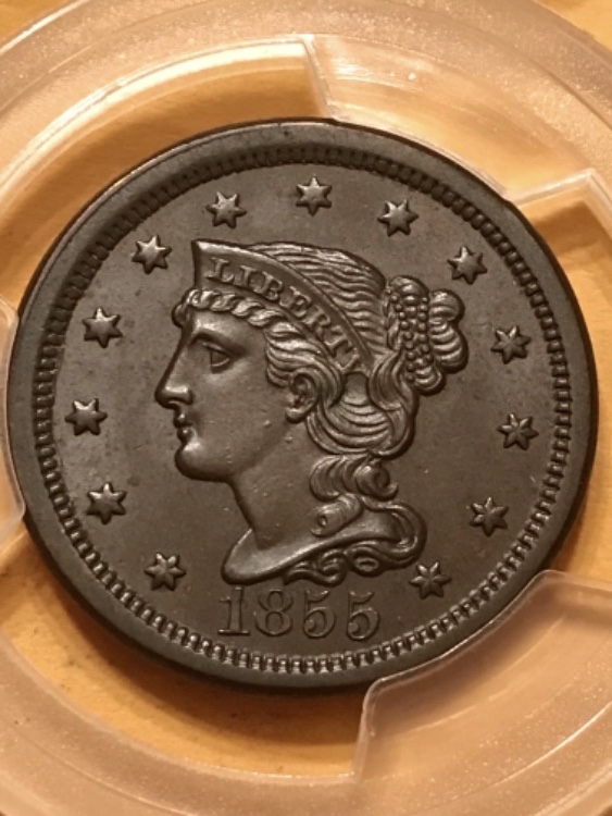 Large-Cent---A-Candidate-For-Verdicare-Treatment?