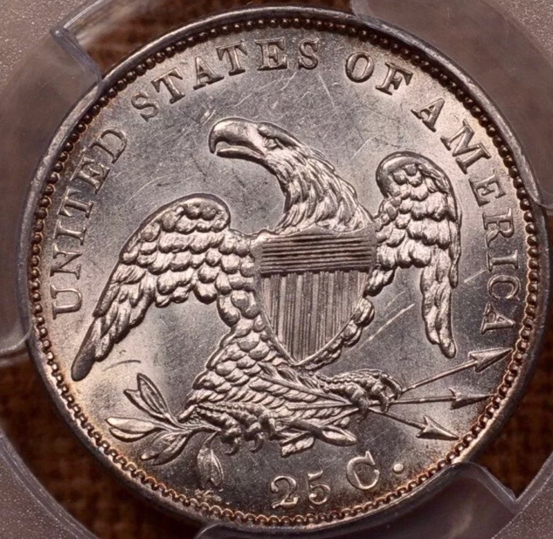 Capped-Bust-Quarters-For-Grading-Vs-TPGs