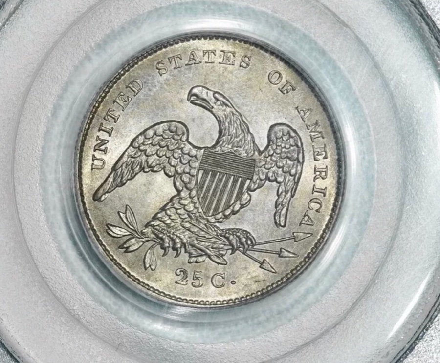 Capped-Bust-Quarter-You-Vs-PCGS