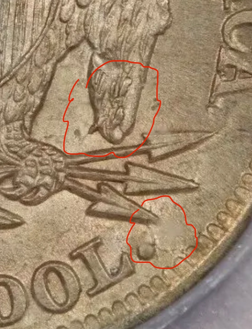 Seated-Half-Dollar-Grade-+-Variety-Confirmation