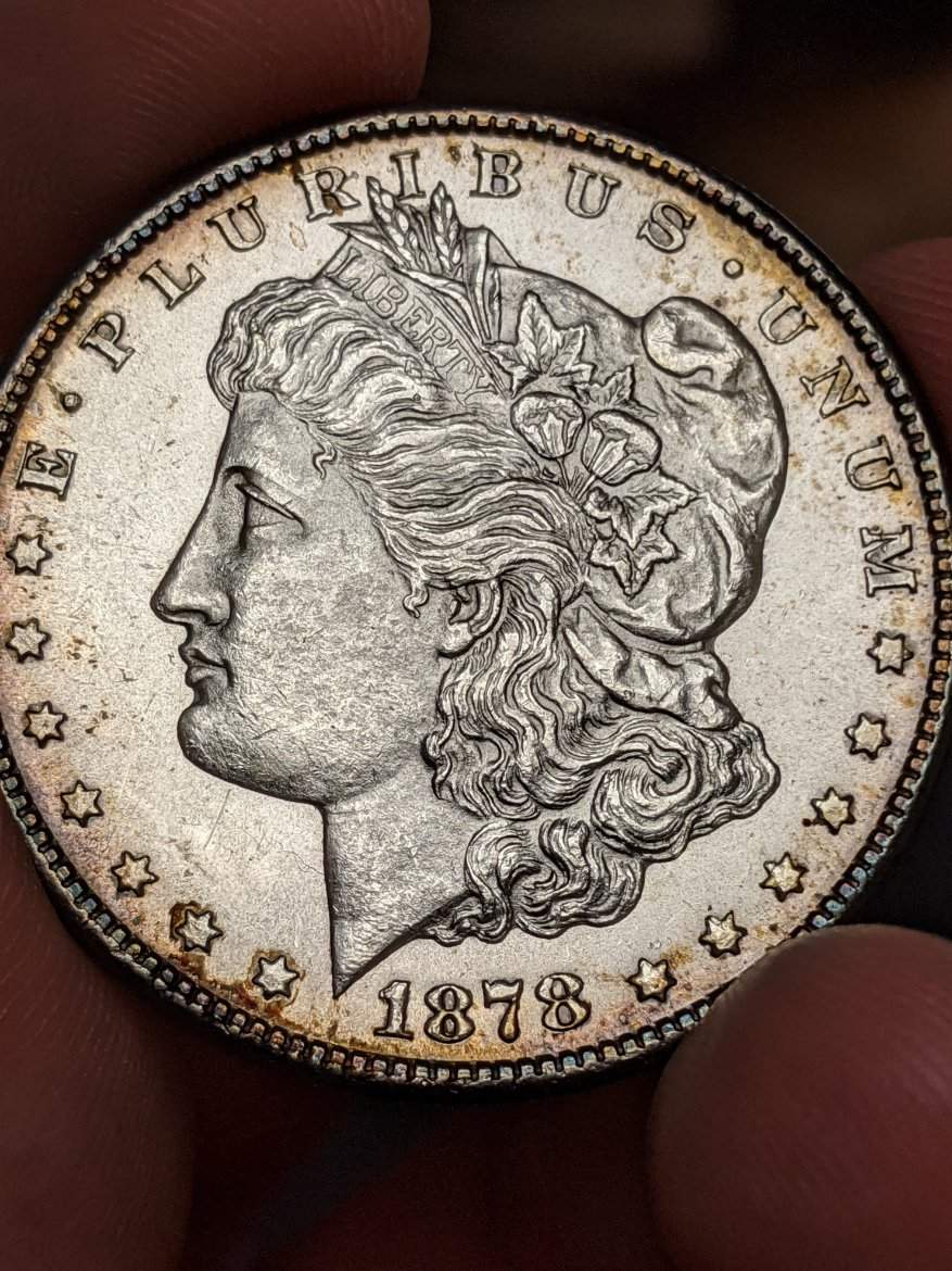 Help-With-1878-S-Morgan-VAM
