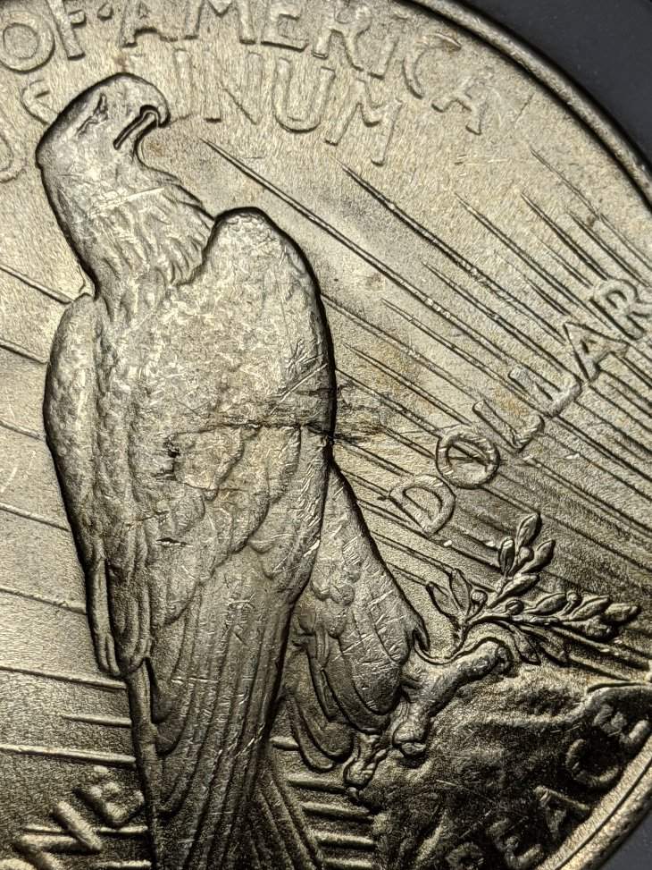 1923-Peace-Dollar-Lamination?