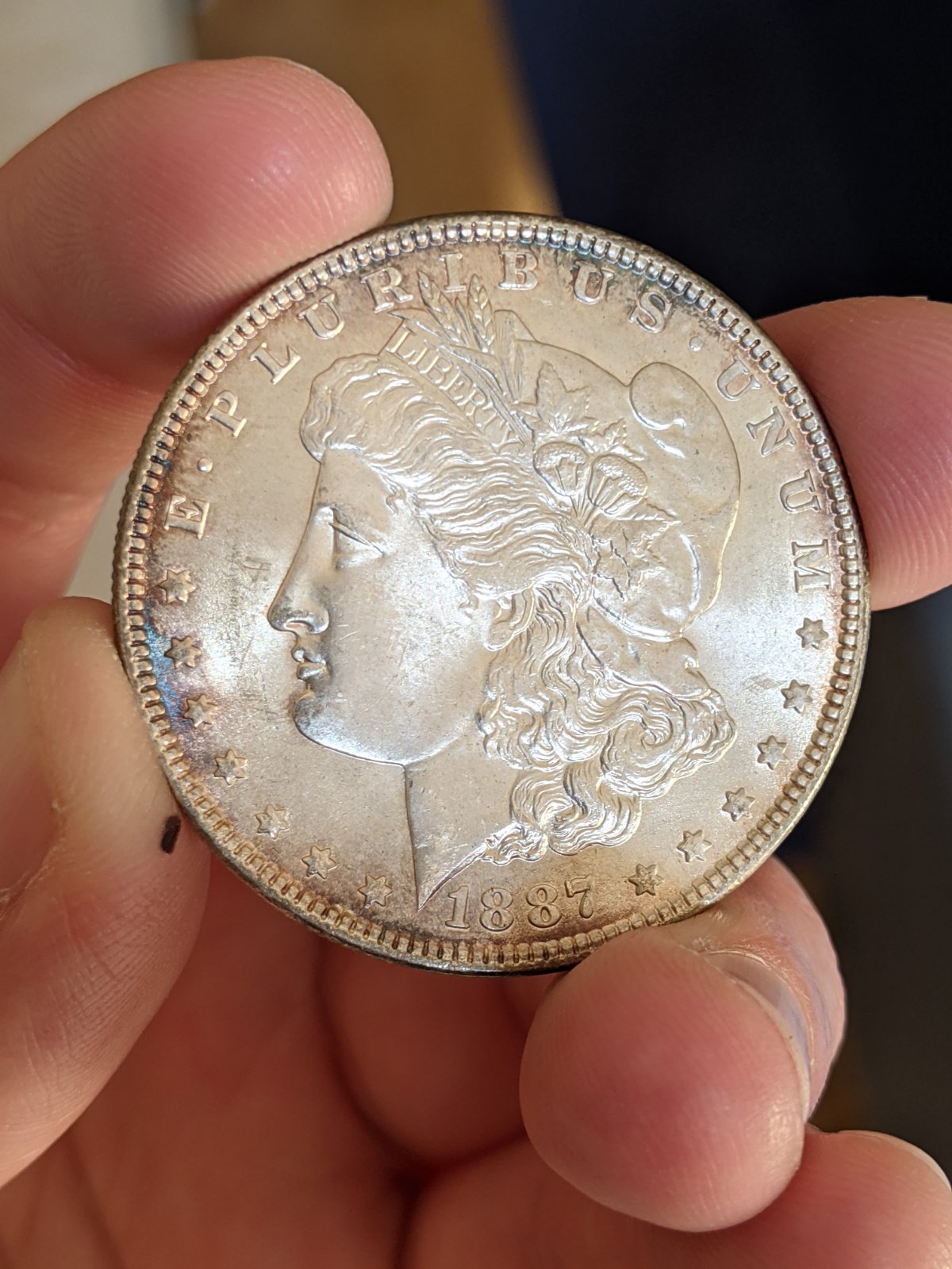 1887-Morgan-For-Grading