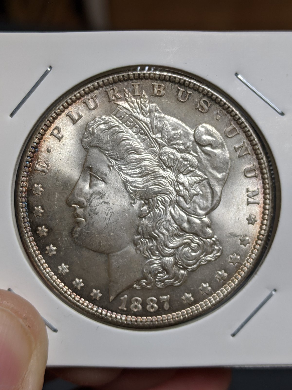 1887-Morgan-For-Grading