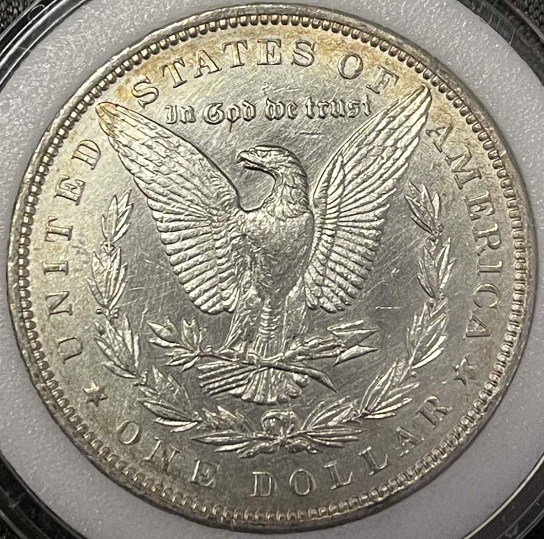 Are-These-Morgans-Worth-Grading?-1891-And-1897?