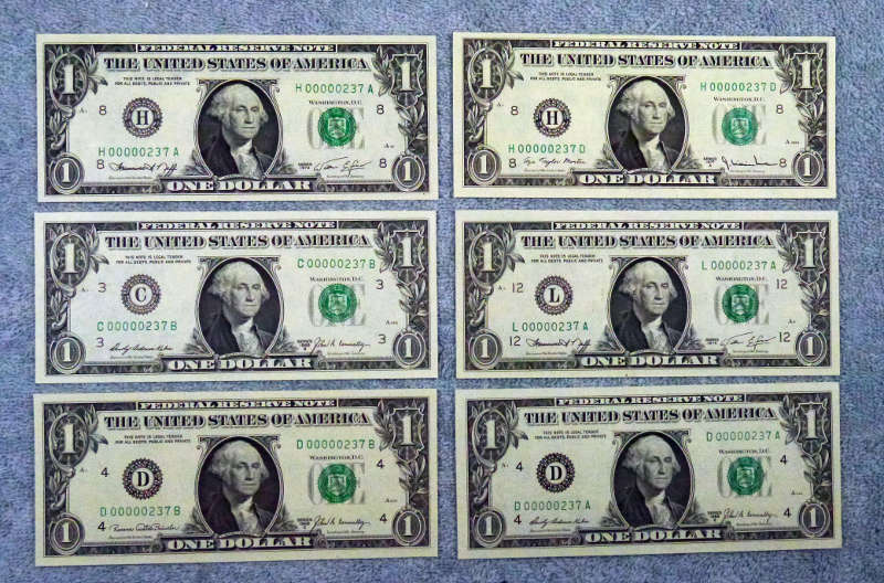 My-237-Collection-All-Cu