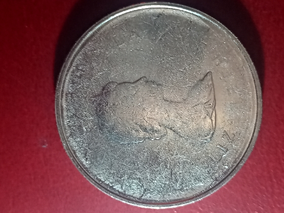 1982-Constitution-Dollar---Struck-Through?