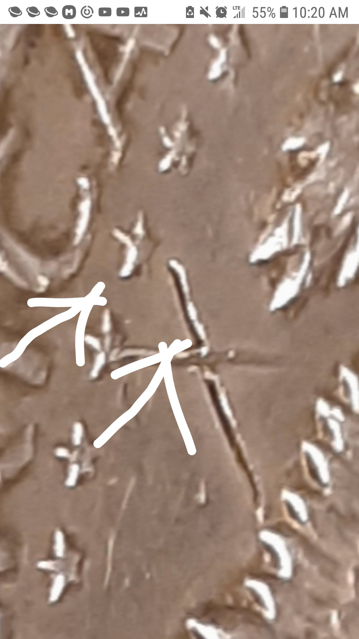1964-Kennedy-Half-With-3-X-Shaped-Die-Crack-Marks-On-It