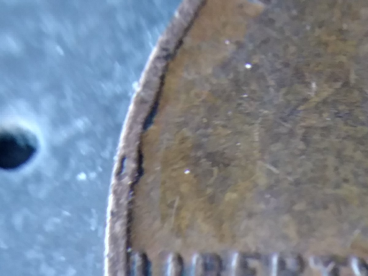 1937-Wheat-Penny-Struck-Over-Foreign-Coin?!