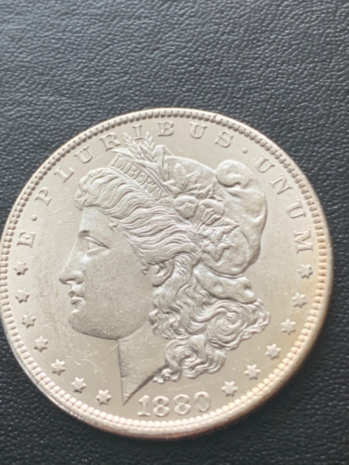 1880-O-Morgan-Dollar--Opinions?