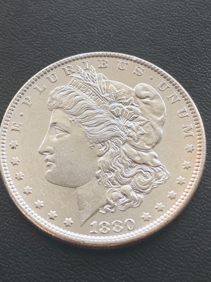 1880-O-Morgan-Dollar--Opinions?