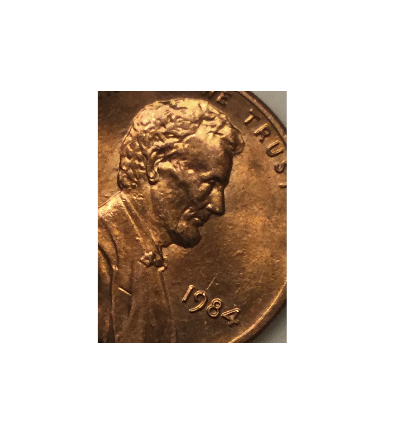 1984-LMC.-Looks-Like-A-DDO-On-Ear.-Need-Help-Please.-Thanks