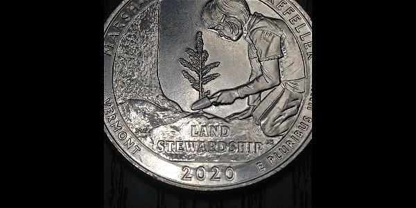 2020-Marsh-Billimgs-D-Quarter-Error