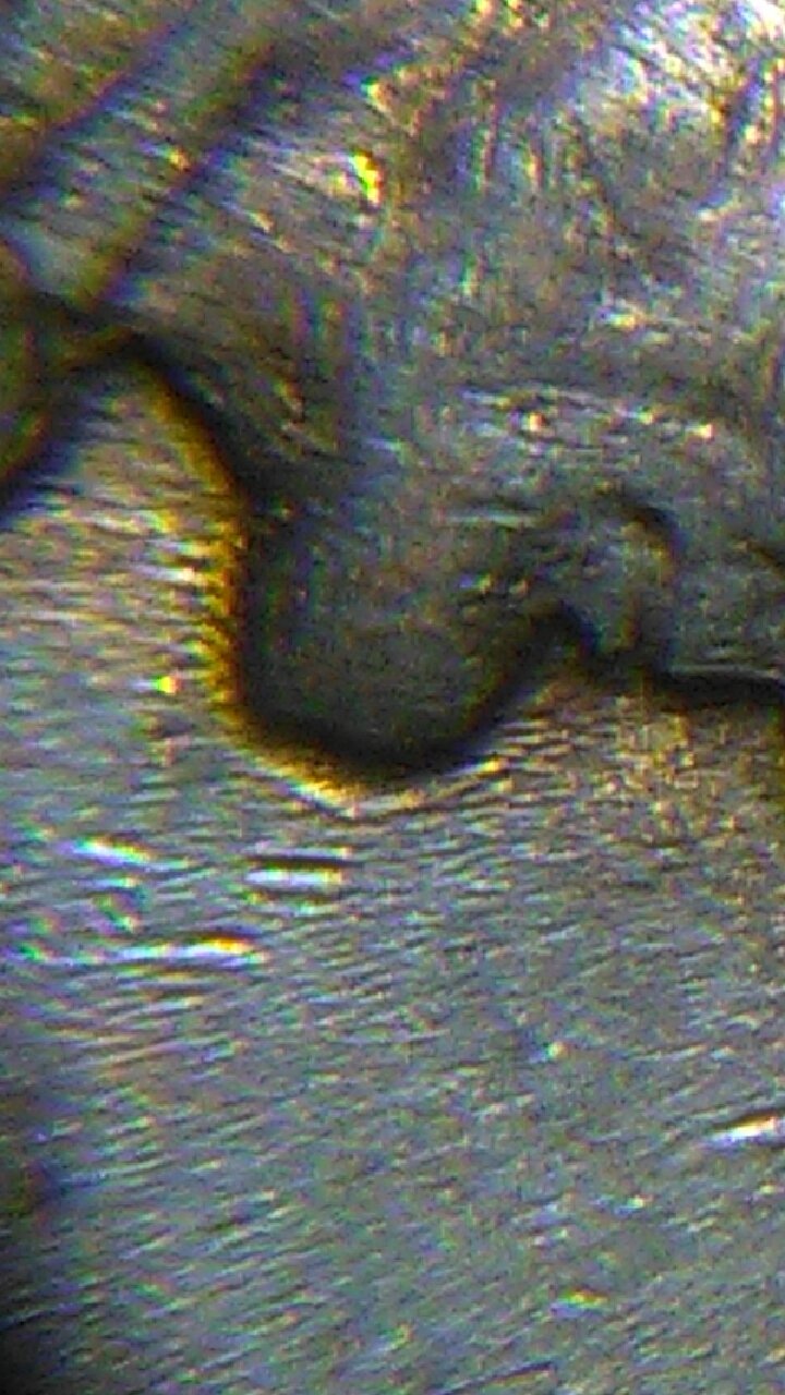 1957-D-Wheat-Penny-Shaken-Die-Error?