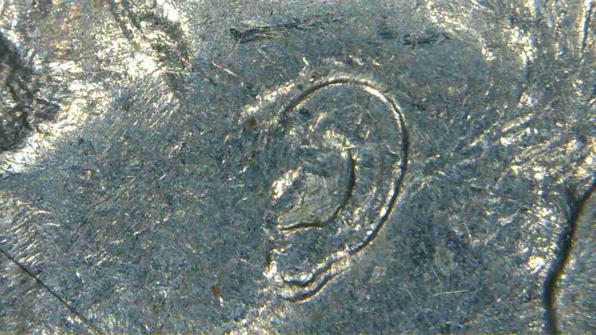 1987-P-Roosevelt-Dime-Double-Ear?