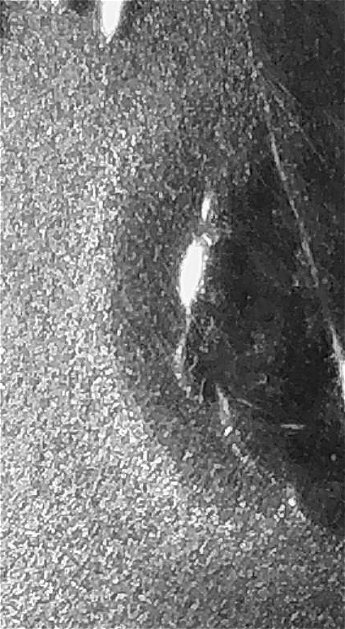 2020-W-Reverse-Proof-Nickel:-