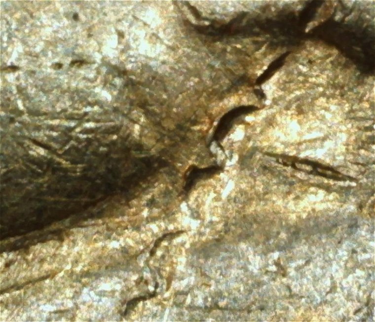 1985-P-Nickel:-What's-This-Error-Called-Again?