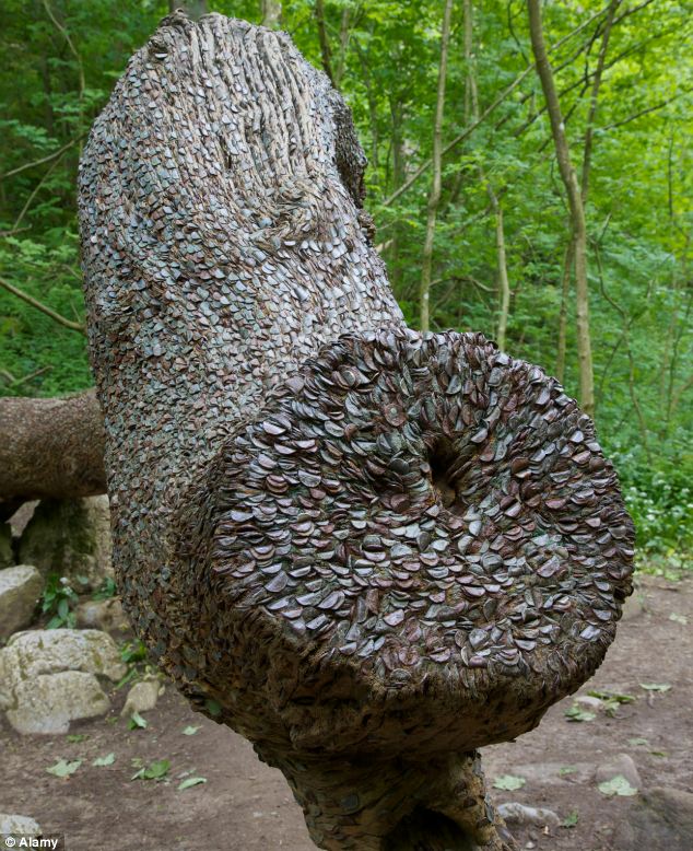 Coins-Stuck-In-Trees---I-Thought-This-Was-Interesting