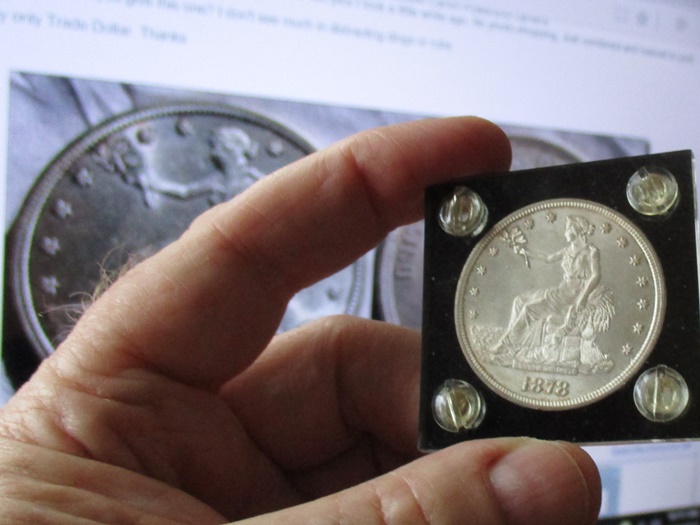 The-Most-Magnificent-7-Days-Of-Trade-Dollars!-Plus-One-Surprise-Day!
