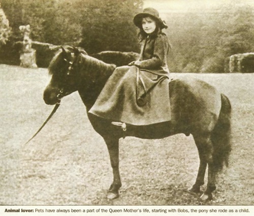 Post-Your-Coins-With-Horses