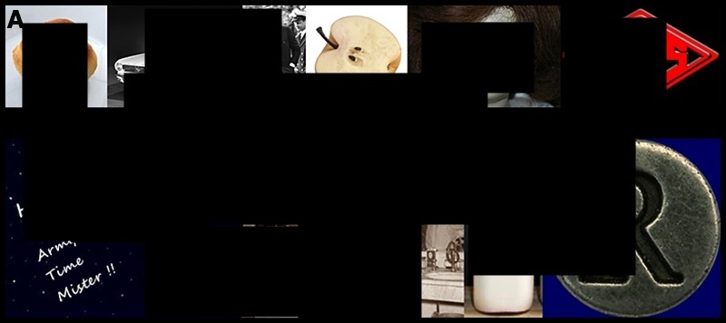 A-Puzzle-Contest--Like-The-Old-1960's-Concentration-TV-Game-...-Sort-Of-