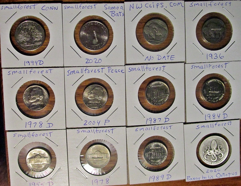 Anyone-Else-Collect-