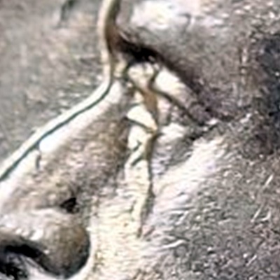 1943-Jefferson-Nickel,-For-Grading.