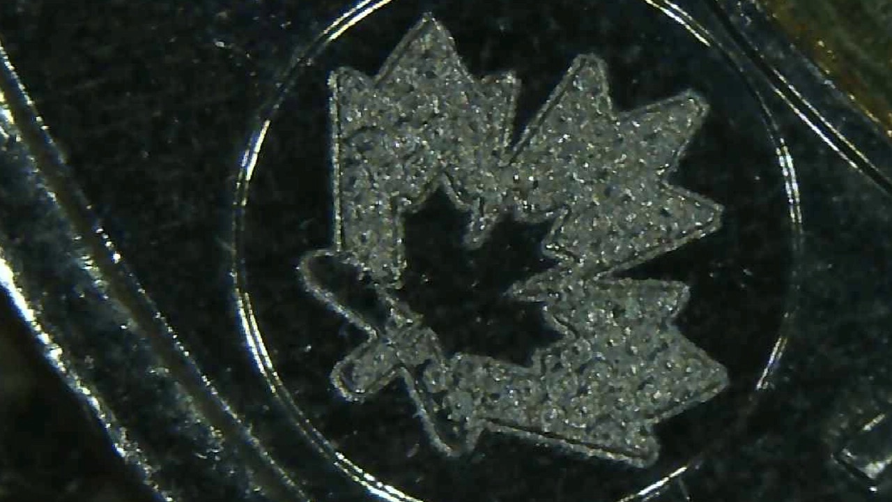2018-Toonie...possible-DD?