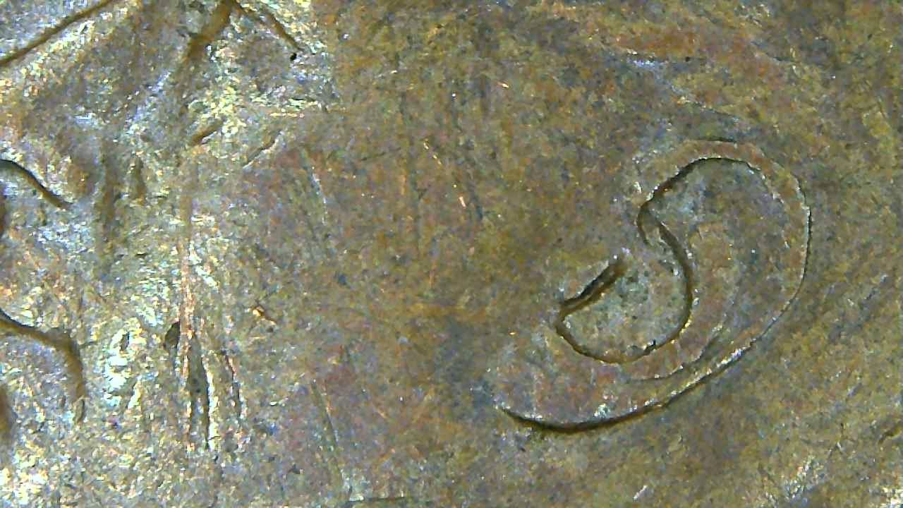 Does-This-1946-Penny-Have-A-Double-Ear?