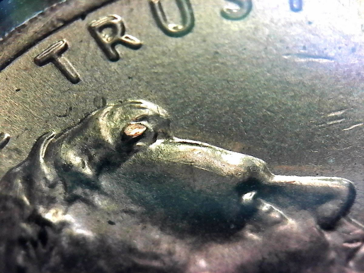 Time-To-Look-At-Your-Shield-Cents-Closer!