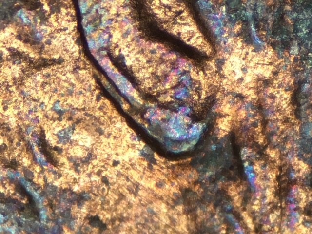 Big-Discovery?-1995-LMC-Doubled-Ear-Found