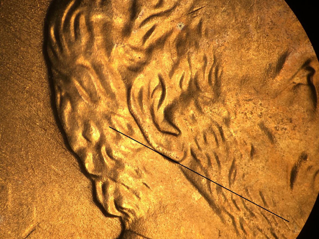 Big-Discovery?-1995-LMC-Doubled-Ear-Found