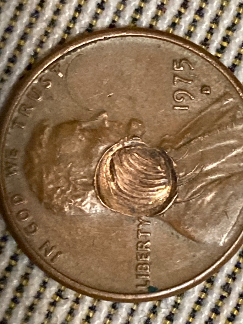 1975-Did-Someone-Shoot-This-With--A-Bb-Or-Is-It-An-Actual-Error?